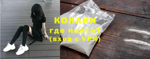 индика Балахна