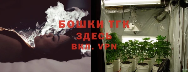 индика Балахна