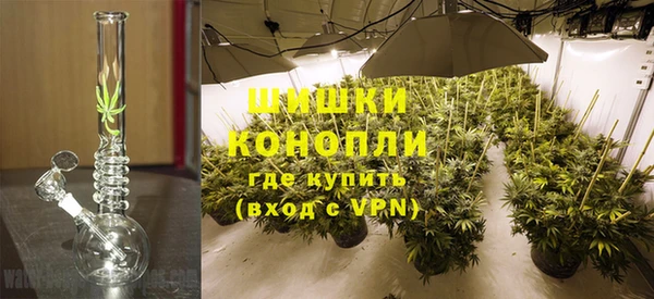 индика Балахна