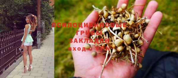 винт Баксан