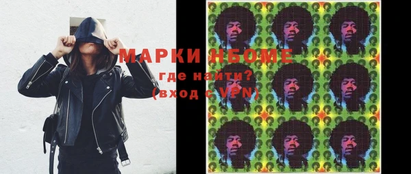 индика Балахна