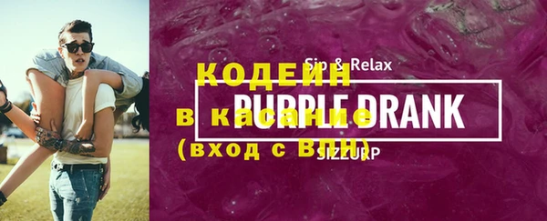 индика Балахна